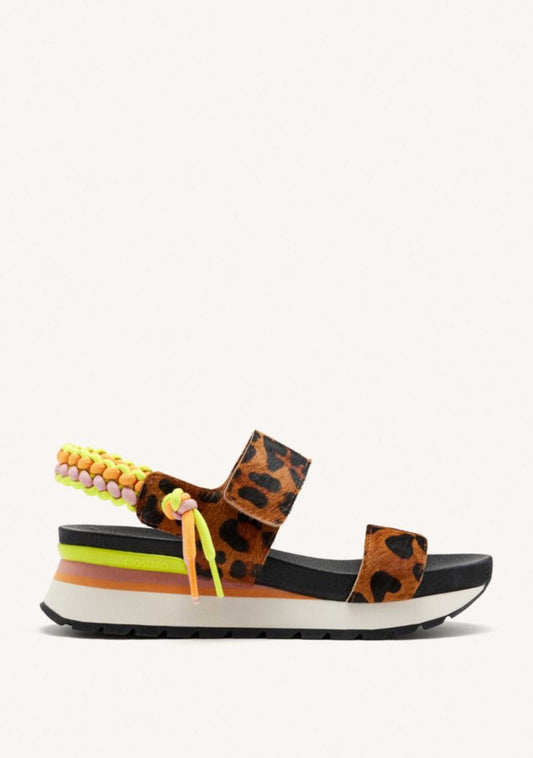 multicolor