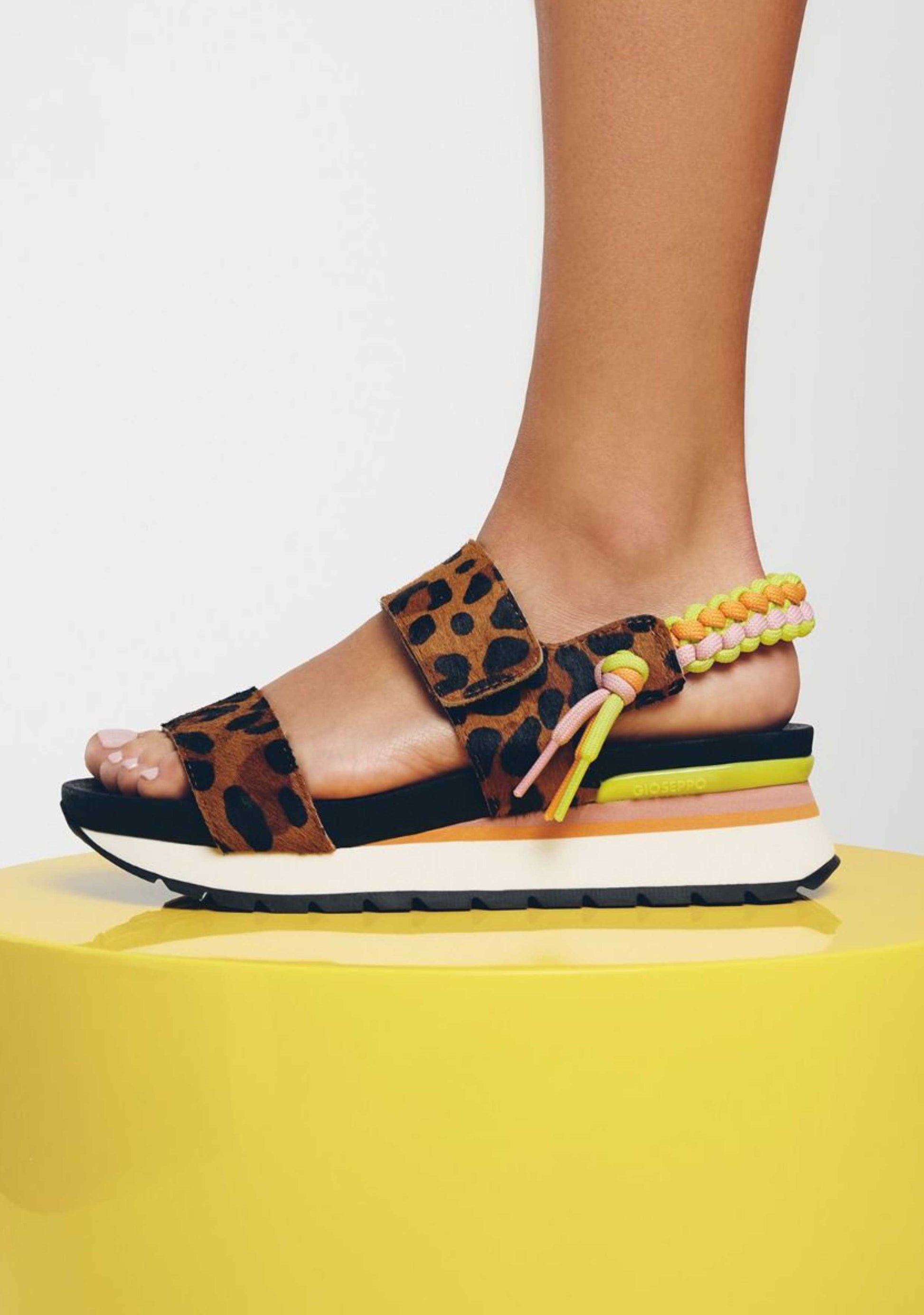 multicolor