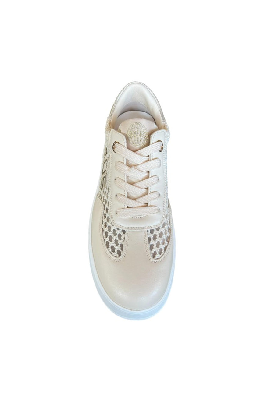 4us paciotti zenske patike bez