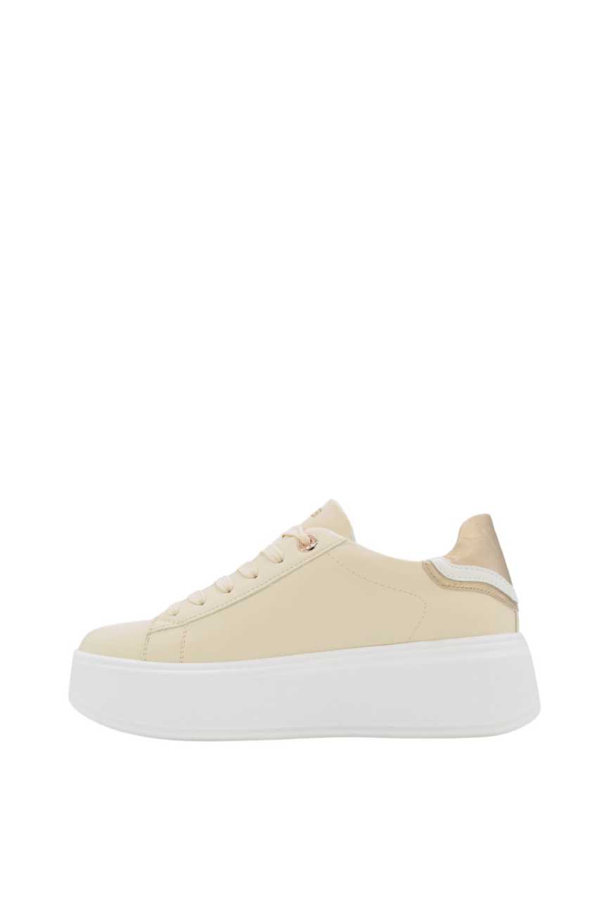 4us paciotti zenske kozne patike bez