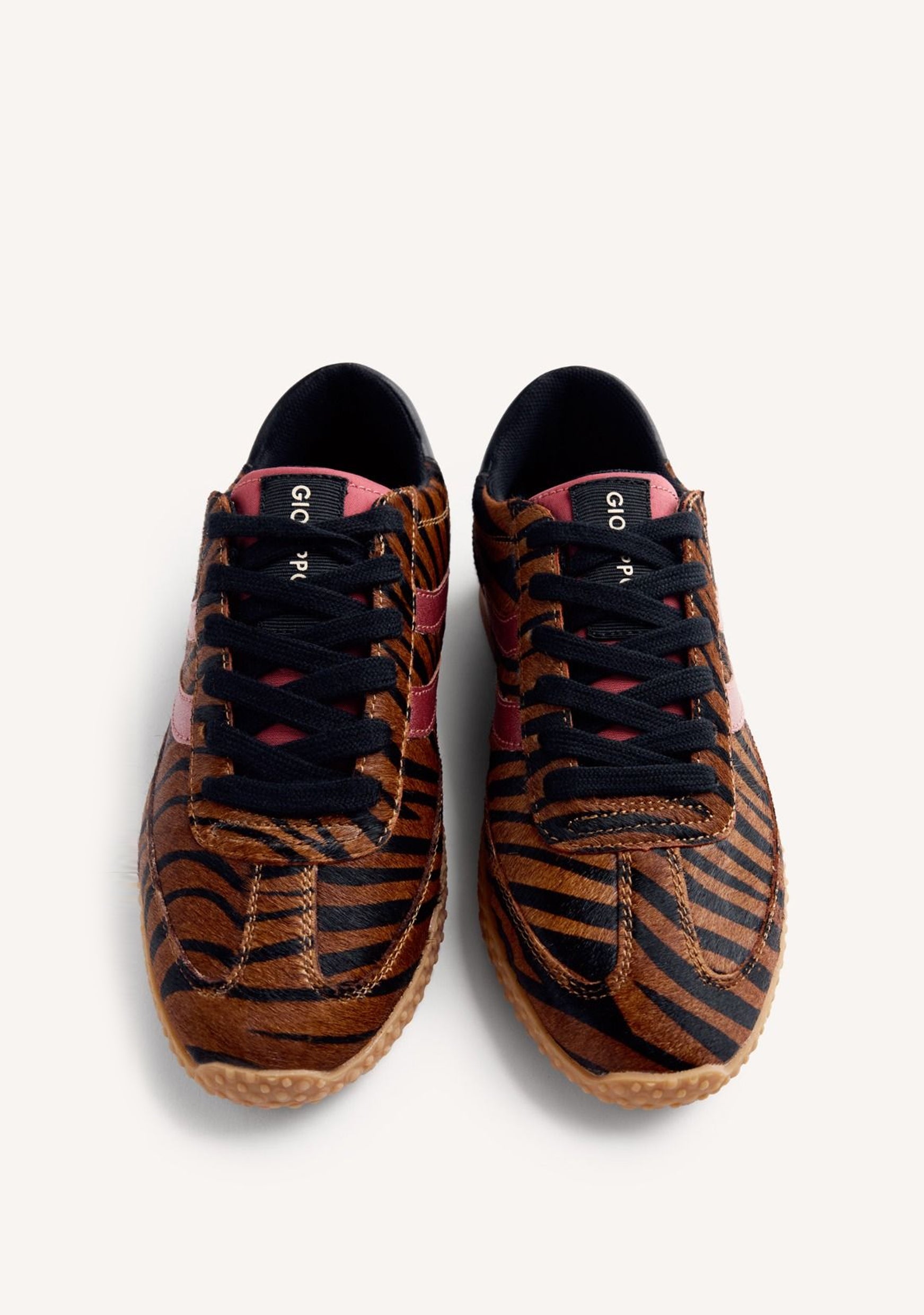 multicolor