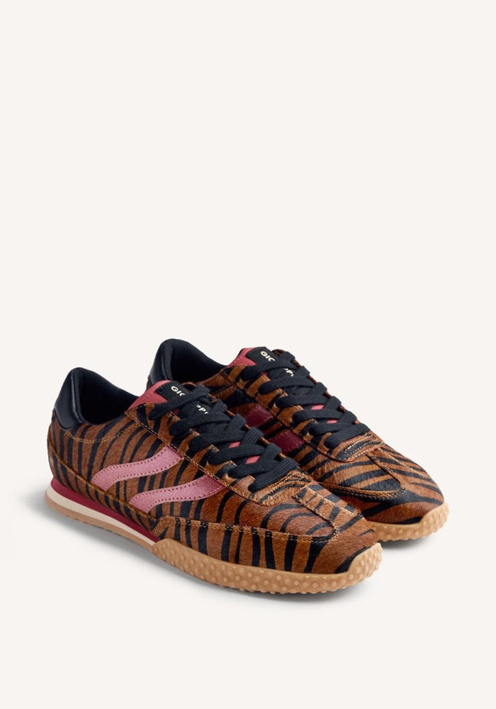multicolor