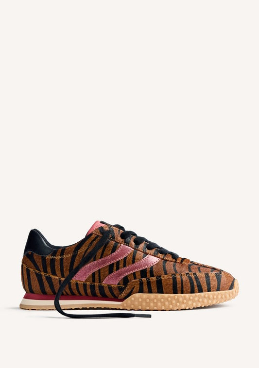 multicolor