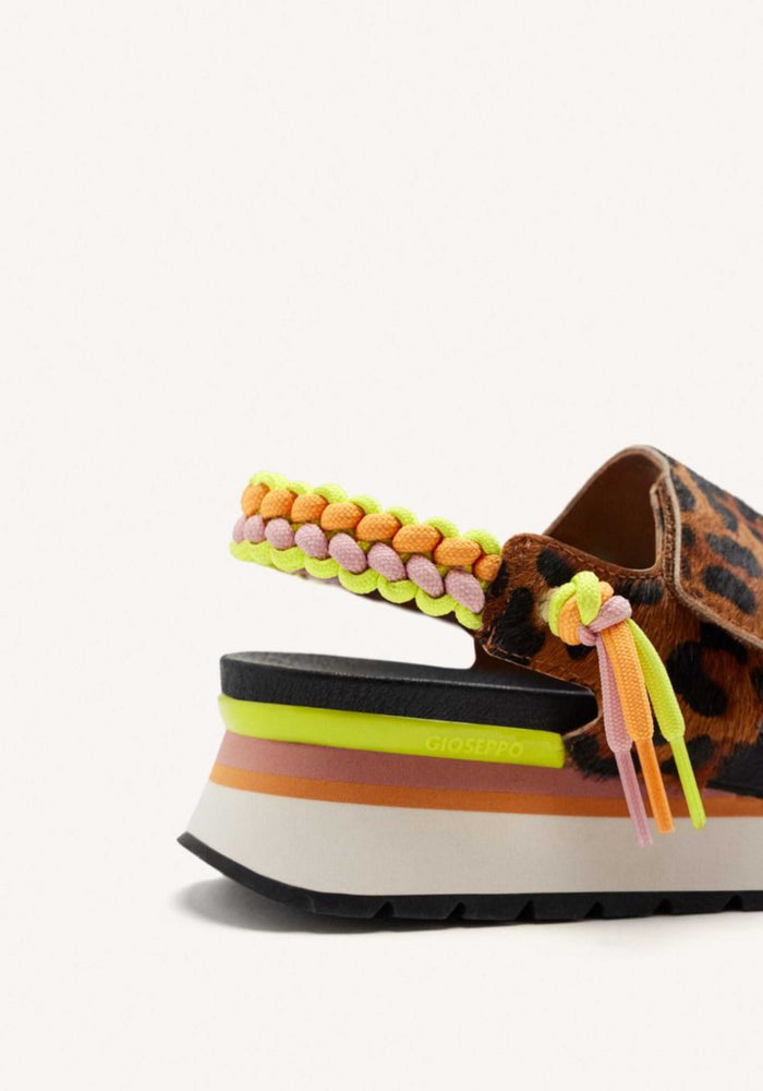multicolor